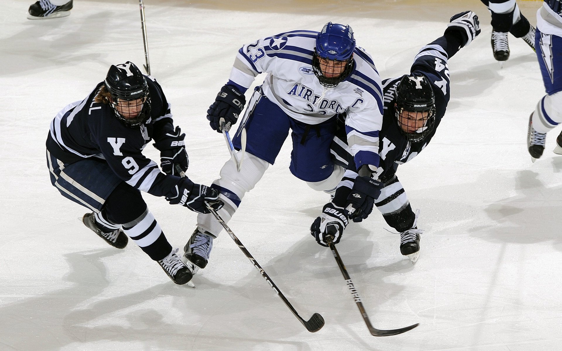从NBA季后赛到雷恩争冠，跨越体育版图的胜利启示